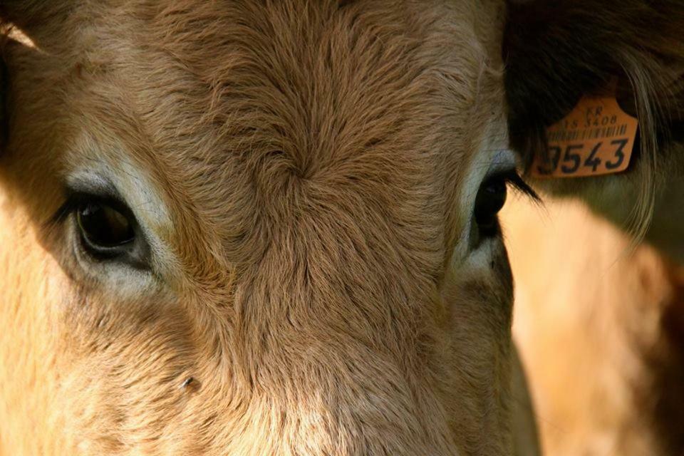 Вилла Petit Gite A La Ferme Rosnay  Экстерьер фото