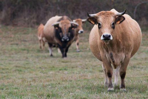 Вилла Petit Gite A La Ferme Rosnay  Экстерьер фото